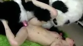 Adult Fuck Hub 47